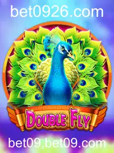 DoubleFly: Uma Experiência de Jogo Inovadora e Emocionante